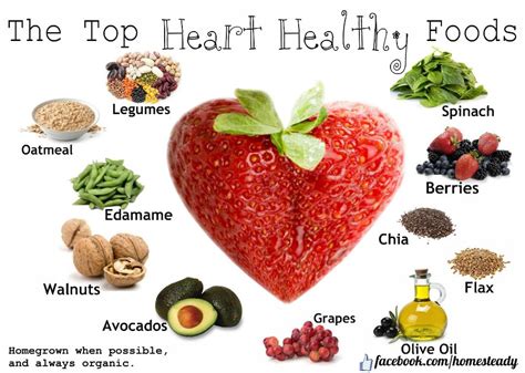 Top 10 Heart-Healthy Foods to Keep Your Heart Pumping Strong